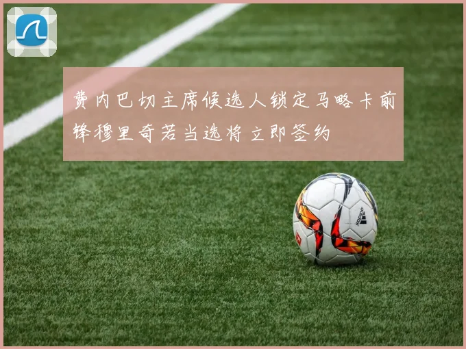 费内巴切主席候选人锁定马略卡前锋穆里奇若当选将立即签约